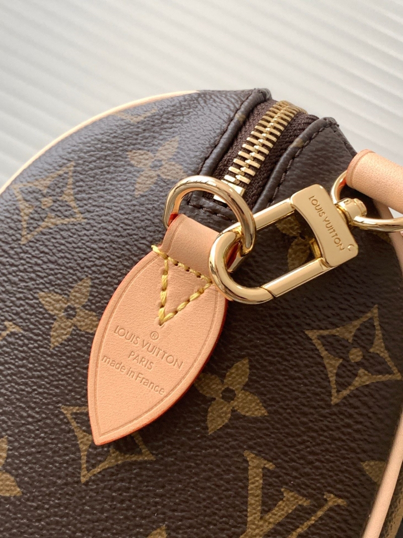 LV Speedy Bags